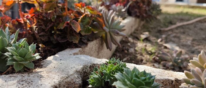 adriatic seaside croatia kaštel stari kuća za najam