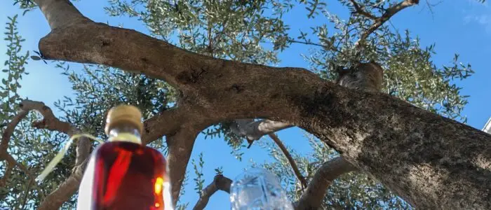 adriatic seaside croatia kaštel stari, kuća za najam kaštel stari maslina