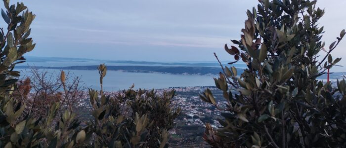 kastela adriatic seaside croatia kaštel stari, kuća za najam kaštel stari, pogled s malačke, malačka , kozjak, pogled s kozjaka kroz masline i uzivanje